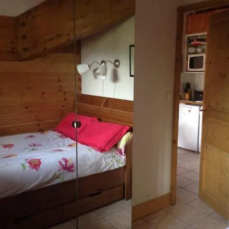 Les 2 Alpes 6 Pers Plein Sud, & Parking Les Deux Alpes