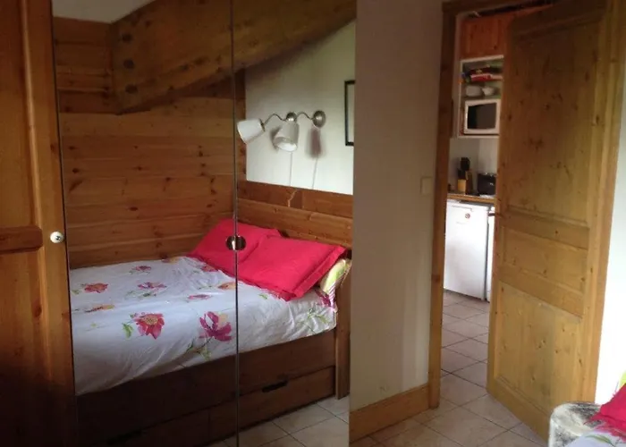 Les 2 Alpes 6 Pers Plein Sud, & Parking Les Deux Alpes